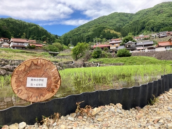 柿小看板